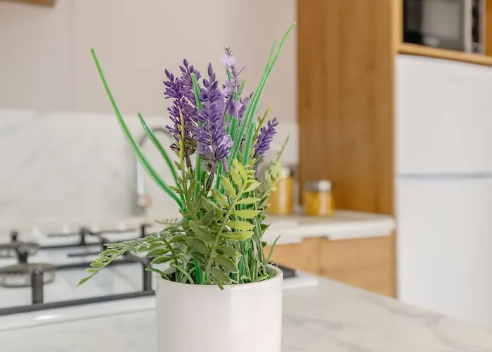 Maeva Escapades Sun Ocean